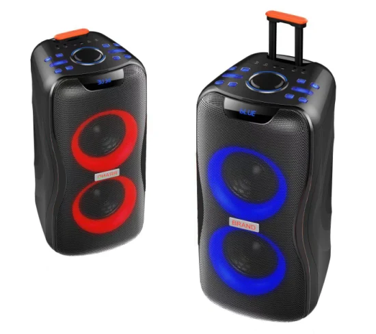 Temeisheng 2022 DJ Box Music MP3 Party Sound Box 100W Audio portatile professionale Altoparlante senza fili Bluetooth PRO con microfono